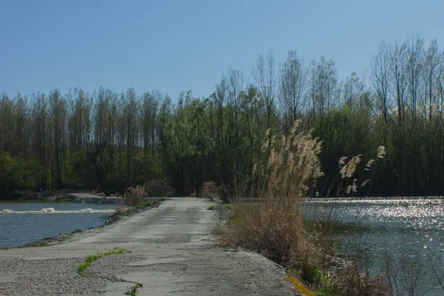 Dunajský luh — Bodíky – 3