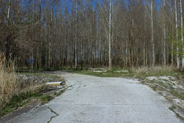 Dunajský luh — Bodíky – 11