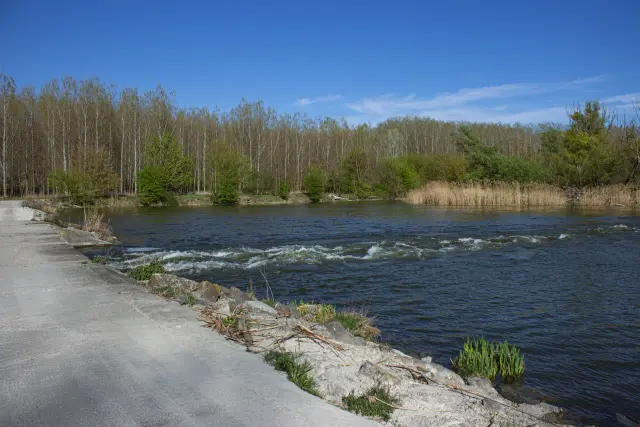 Dunajský luh — Bodíky – 4