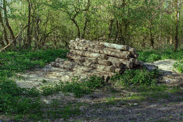 Dunajský luh — Bodíky – 12