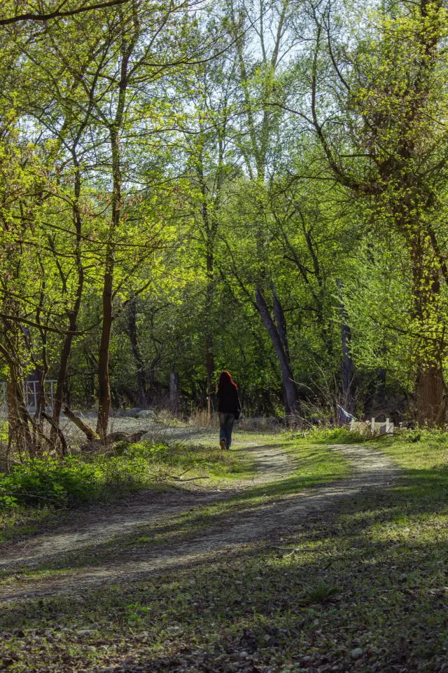 Dunajský luh — Bodíky – 16