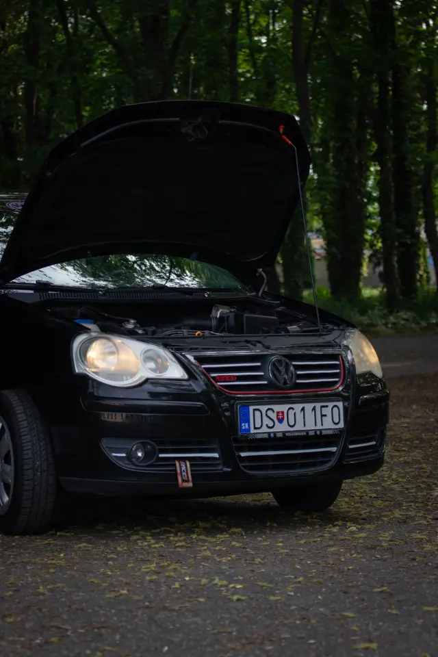 VW Polo Family — Black Session – 12